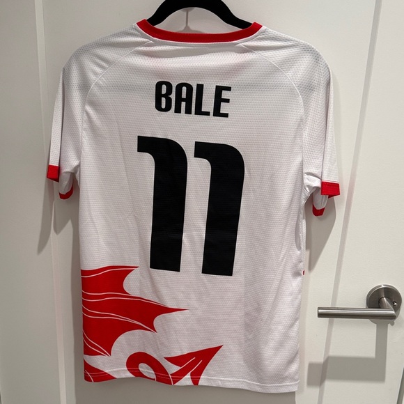 AIRO Wales Men's Jersey - Picture 4 of 4